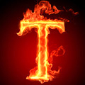 tesla - ait Kullanıcı Resmi (Avatar)